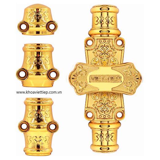 Clemon đồng mạ vàng cửa đi 09862