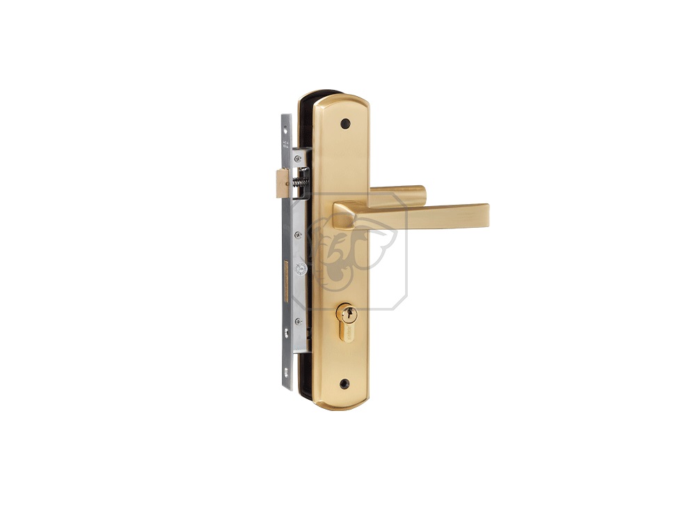 Khóa tay gạt cửa chính HCX856D