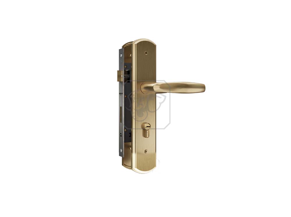 Khóa tay nắm cửa chính HCX8566D