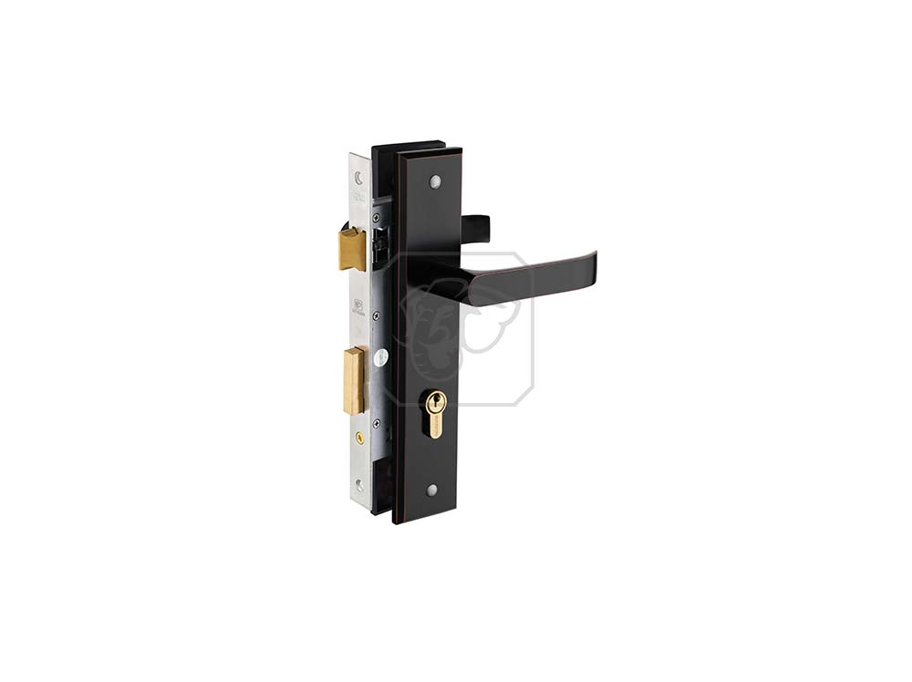 Khóa cửa tay nắm màu đen TNSS8510-ABC