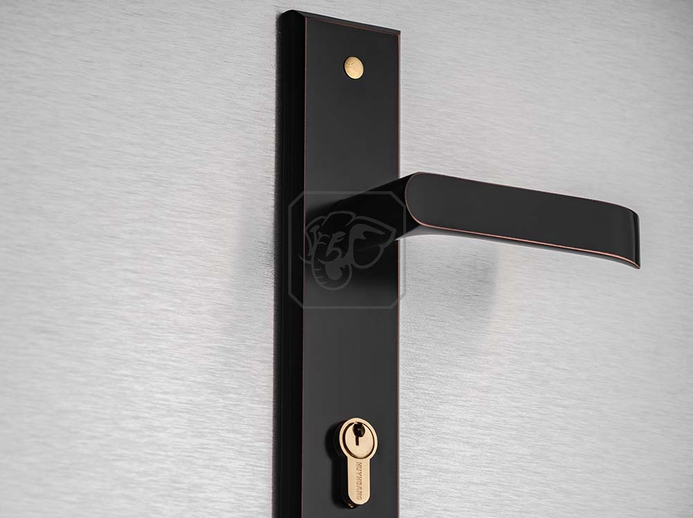 Khóa tay gạt cửa chính cỡ đại - ảnh 1 khoa-tay-gat-cua-chinh-co-dai-tnss8510d-1