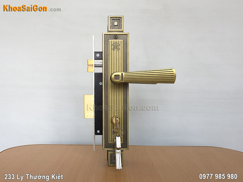 Kh&oacute;a tay nắm cửa ch&iacute;nh Việt Tiệp - 6