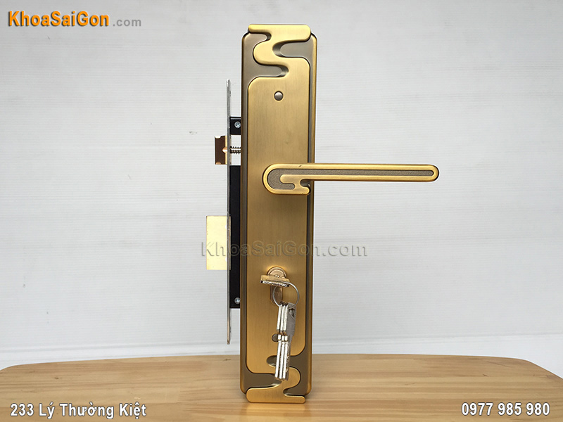 Kh&oacute;a tay nắm cửa ch&iacute;nh Việt Tiệp 04939 - 6