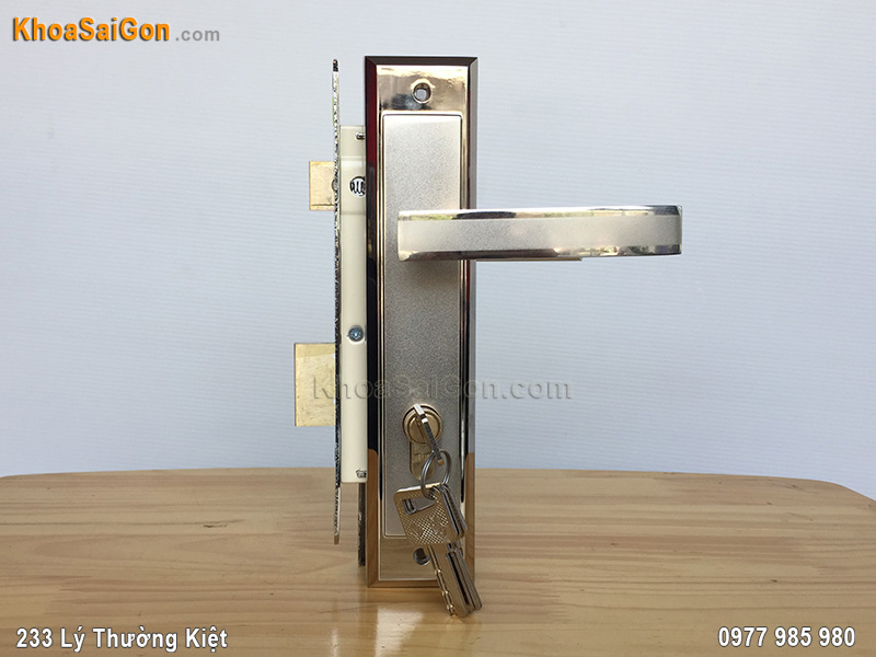 Kh&oacute;a tay gạt cửa đi Việt Tiệp 04908 - 6