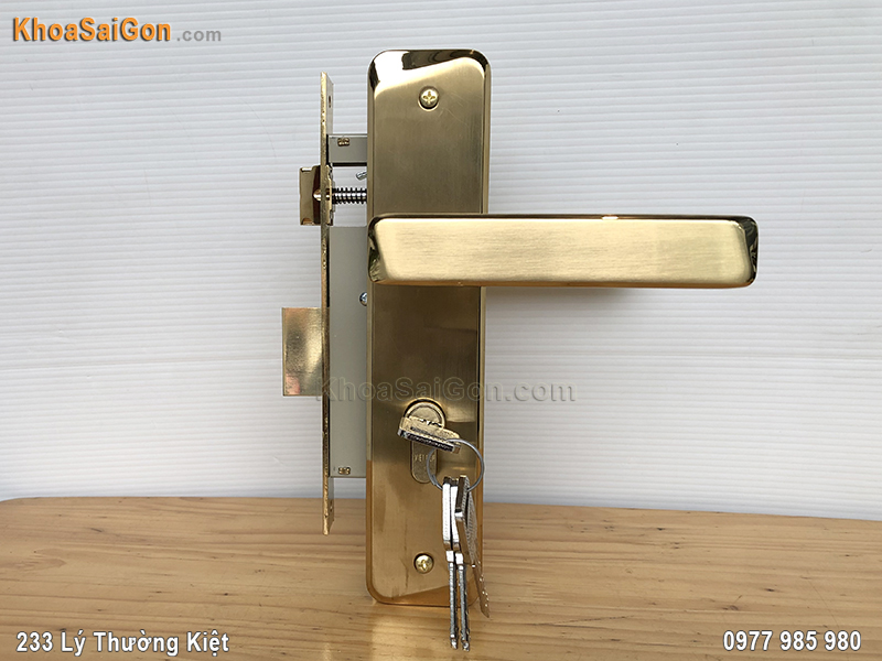 Kh&oacute;a tay nắm cửa ph&ograve;ng Việt Tiệp 04335 - 6
